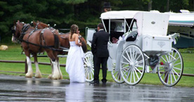 Horse Drawn Carriage